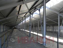 Телятник 2380 кв.м.